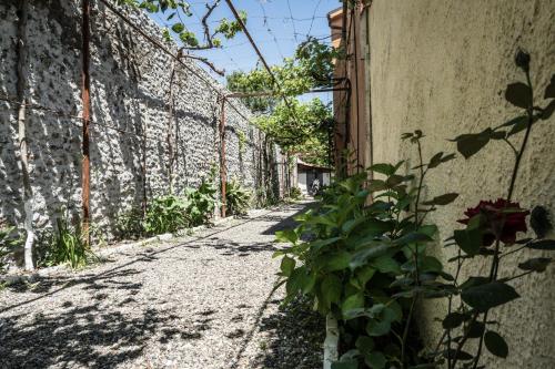 an alley with a stone wall and a plant at Eco Garten Guest House in Shkodër