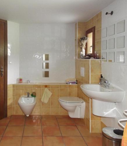 une salle de bain avec toilettes et lavabo dans l'établissement Chalet Les Cols - Chambres avec terrasse & jardin - proche de la nouvelle gare, à Saint-Jean-de-Maurienne