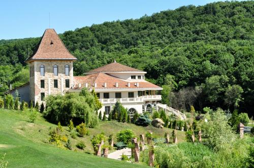 a large house on a hill with trees at SunGarden Golf & Spa Resort in Cluj-Napoca