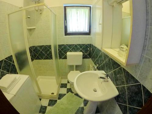 a bathroom with a sink and a toilet and a shower at Apartment Dragun in Pula