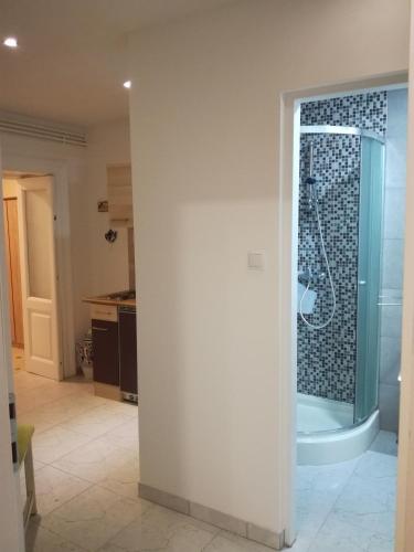 a bathroom with a shower and a bath tub at Apartments Olivia in Pula