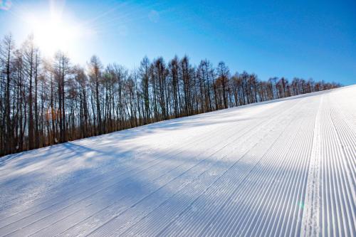 a snow covered field with trees in the background at Hachimantai Mountain Hotel & Spa in Hachimantai