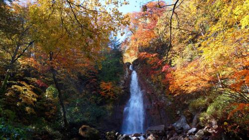 a waterfall in the middle of a forest with trees at Hachimantai Mountain Hotel & Spa in Hachimantai