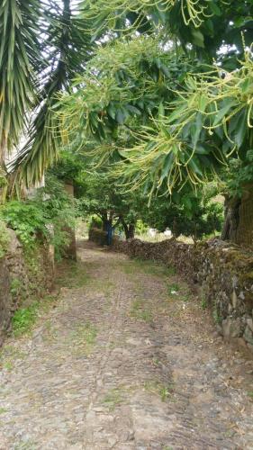 a dirt road with trees and a stone wall at Apartamento Casa Tita Aguafría in Aguafría