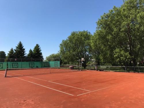 a tennis court with trees in the background at Korter Villa 1 in Pärnu