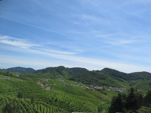 a view of a vineyard in the hills at Agriturismo due Carpini in Valdobbiadene