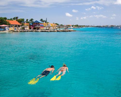 two men are laying on surfboards in the water at Divi Flamingo Beach Resort in Kralendijk