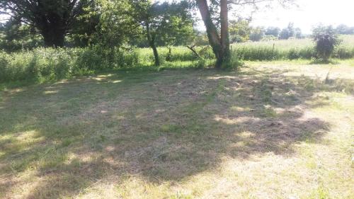 a large grass field with a tree in the middle at Chante-Cristal in Target