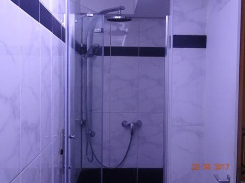 een douche met een glazen deur in een badkamer bij Ferienwohnung am sonnigen Hang in Riedenburg