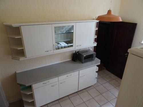 Kuchyň nebo kuchyňský kout v ubytování Villa Bellevue Dresden