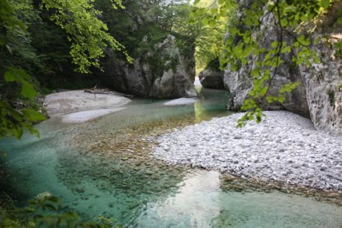a river with green water and rocks and trees at Apartment Pri Bricu in Kobarid