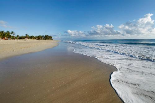 a beach with the ocean and the shoreline at Viva Tangerine by Wyndham, A Trademark All Inclusive in Cabarete