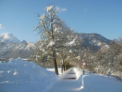 a snow covered road with a tree and a sign at Exklusiv Apartment Hofer in Sankt Johann in Tirol