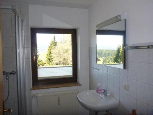 ein Bad mit einem Waschbecken, einem Spiegel und einem Fenster in der Unterkunft Gästehaus Hundelbach in Lenzkirch