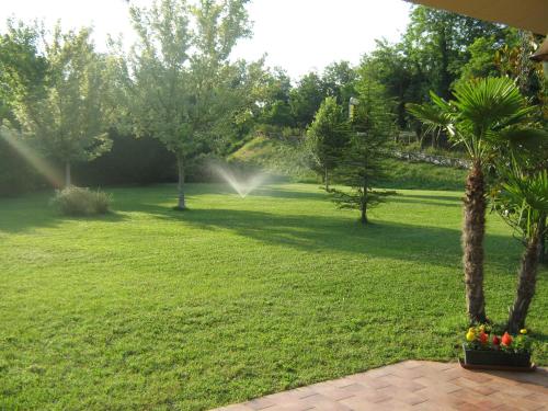a garden with a palm tree in the grass at B & B OASI in Rosciano