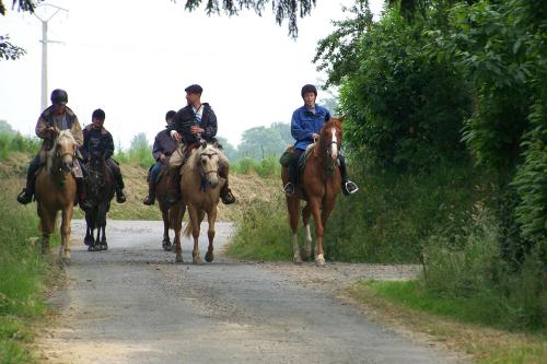 een groep mensen die paardrijden over een onverharde weg bij Chambre d'hotes La Jaunais in Virey