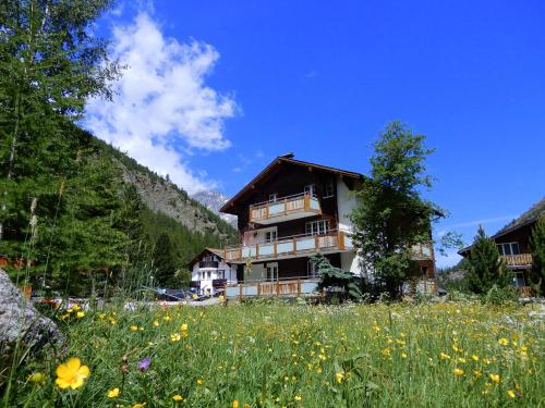 a house in the middle of a field of flowers at Haus Alpenperle in Saas-Almagell