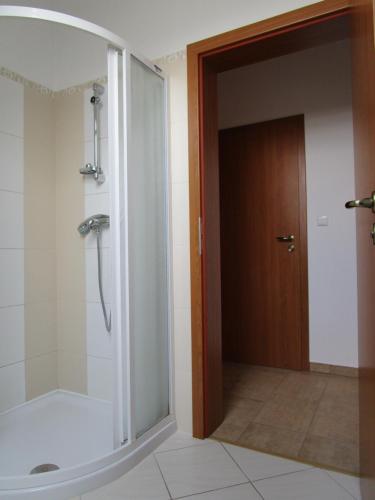 a shower in a bathroom with a glass door at Penzion Alma in Znojmo