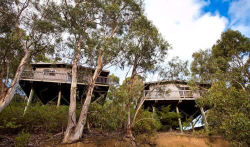 a house on top of a hill with trees at Beacon Point Ocean View Villas in Apollo Bay