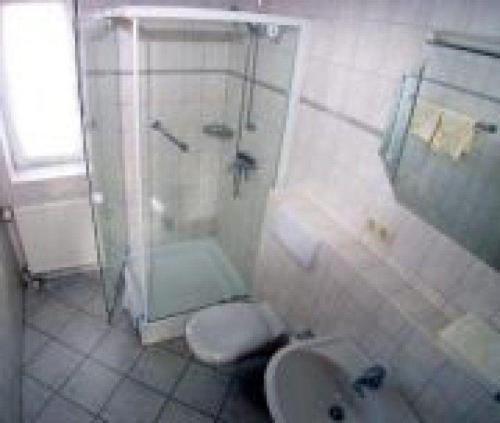 uma casa de banho com um WC, um chuveiro e um lavatório. em Ferienhof-Kirschenholz em Schillsdorf