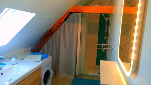 Saint-Jean-Saint-GermainにあるL'Appart Cosy - Proche ZOOPARC de Beauvalのバスルーム(シンク、鏡付きシャワー付)