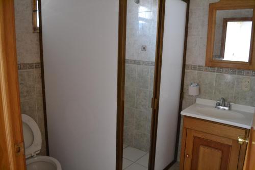 a bathroom with a shower and a sink and a toilet at Hotel Senorial in San Juan de los Lagos