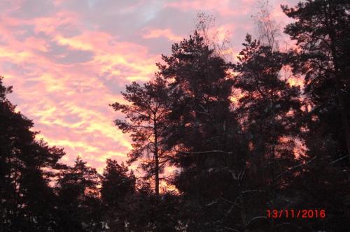 a group of trees in front of a sunset at Ferienhaus Huus ton witten Barg in Undeloh