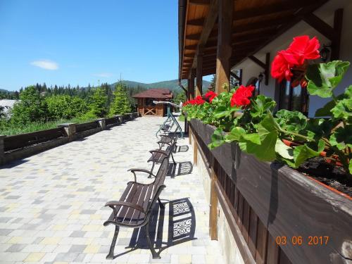 a row of benches sitting outside of a building with red flowers at Alpenhof Pansion in Slavske