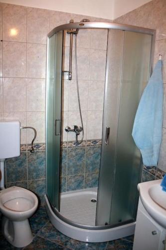 a bathroom with a shower with a toilet and a sink at Deni09 in Pomer