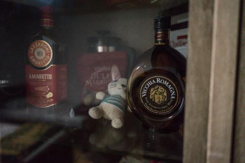 a bottle of alcohol and a stuffed animal in a refrigerator at Eco Garten Guest House in Shkodër