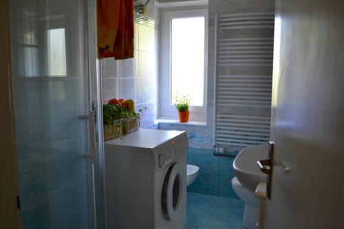 盧比安納的住宿－Sweet home in Ljubljana，一间带洗衣机和卫生间的浴室