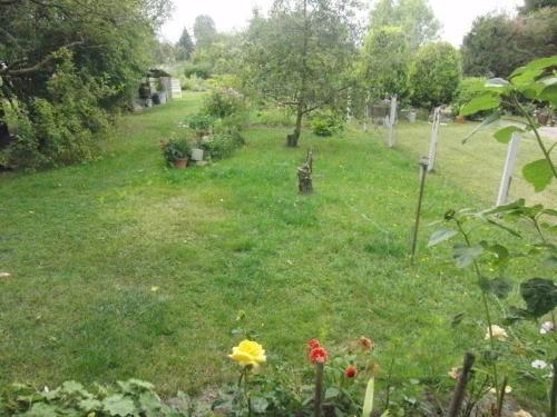 Ein Hof mit Blumen im Gras in der Unterkunft Ferien-Apartment mit Gartenblick in Rostock