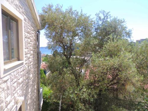 Fotografie z fotogalerie ubytování Rooms Villa Desa v destinaci Budva
