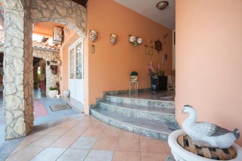 Villa Rosa في بروداريكا: منزل فيه بطه تجلس على كرسي في الممر