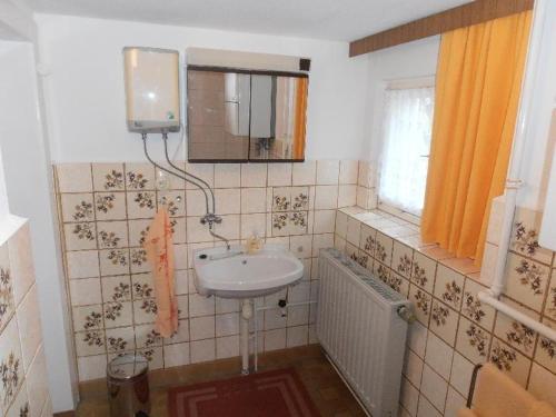 a bathroom with a sink and a mirror at Ferienwohnung-Mitreuter in Wildenau