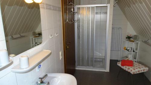 uma casa de banho com um lavatório e um chuveiro em Ferienwohnung-Wasserlaeufer em Mulde