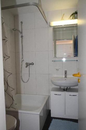 a bathroom with a shower and a sink and a toilet at Ferienwohnung-Konvikt-Nr-B in Freiburg im Breisgau