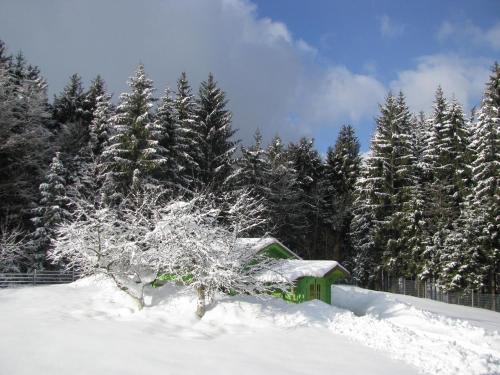 a small green house in the snow next to trees at Klausgupf in Neureichenau
