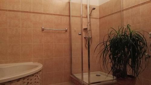 ライプツィヒにあるFeriendomizil-Roger-Wohnung-2のバスルーム(植物のシャワー付)