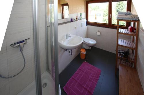 ein Bad mit einem Waschbecken, einer Dusche und einem WC in der Unterkunft Elzachferien in Elzach