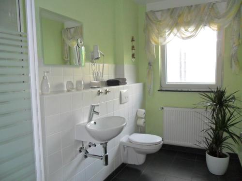 baño con lavabo y aseo y ventana en Ferienwohnung im Rosental en Andernach