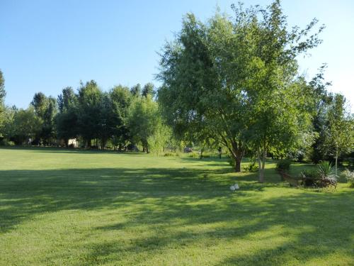 a large green field with a tree and benches at Agriturismo Ai Carpini in Marcon