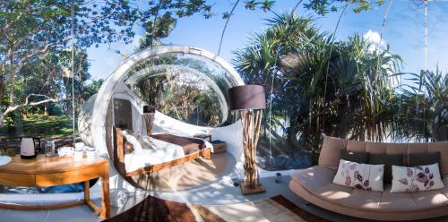 Zahrada ubytování Bubble Lodge Bois Chéri Plantation