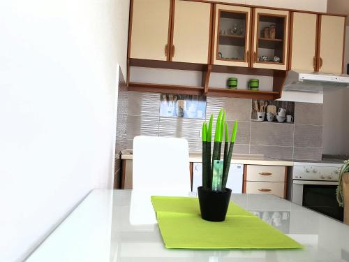 um balcão de cozinha com um tapete verde e um vaso com plantas verdes em Apartman Milovic em Tivat