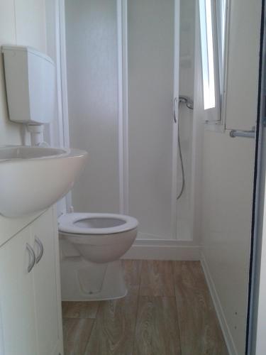 a white bathroom with a toilet and a shower at Campeggio Europa in Torre del Lago Puccini