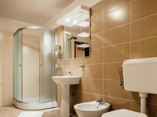 La salle de bains est pourvue d'une douche, d'un lavabo et de toilettes. dans l'établissement Zana Vaii, à Arieşeni