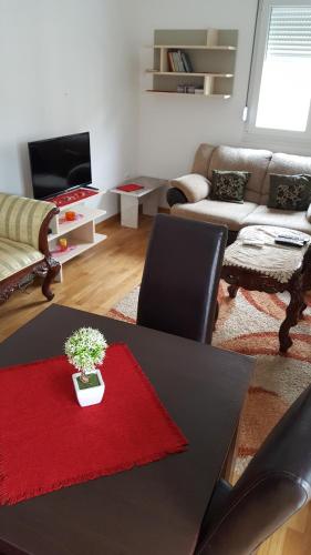 a living room with a black table with a red rug at Zebra in Podgorica