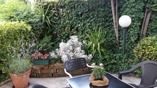 Un jardín fuera de Hotel Gardenia