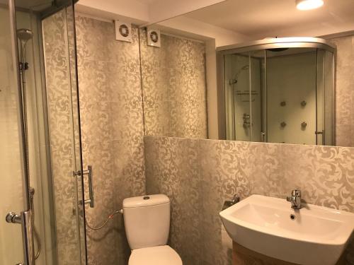 La salle de bains est pourvue de toilettes, d'un lavabo et d'une douche. dans l'établissement Pensiunea Otopeni, à Otopeni