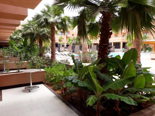 Gallery image of Oasis Palm Hotel in Guelmim